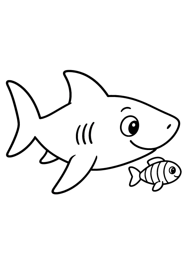Shark And Pilot Fish