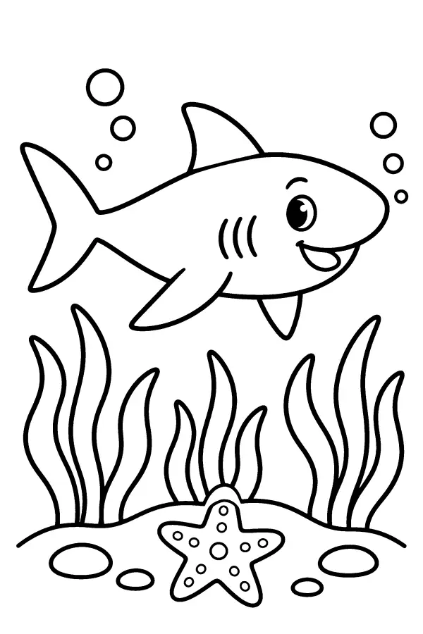 Shark And Starfish