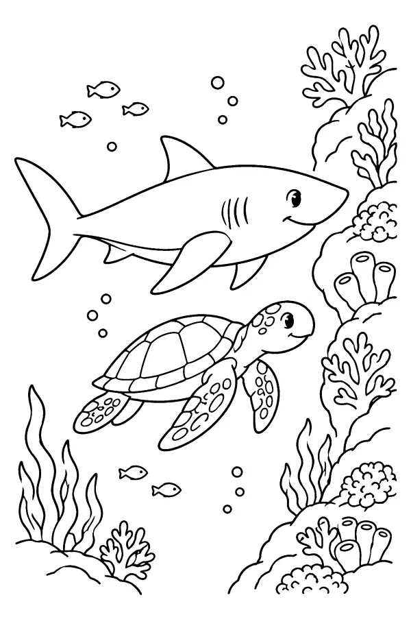 Shark And Turtle Reef
