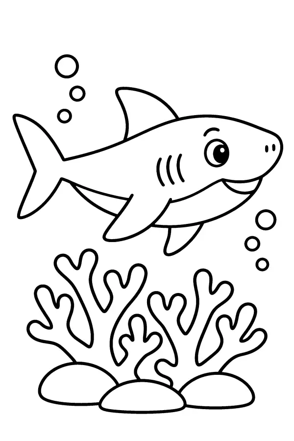 Shark Over Coral