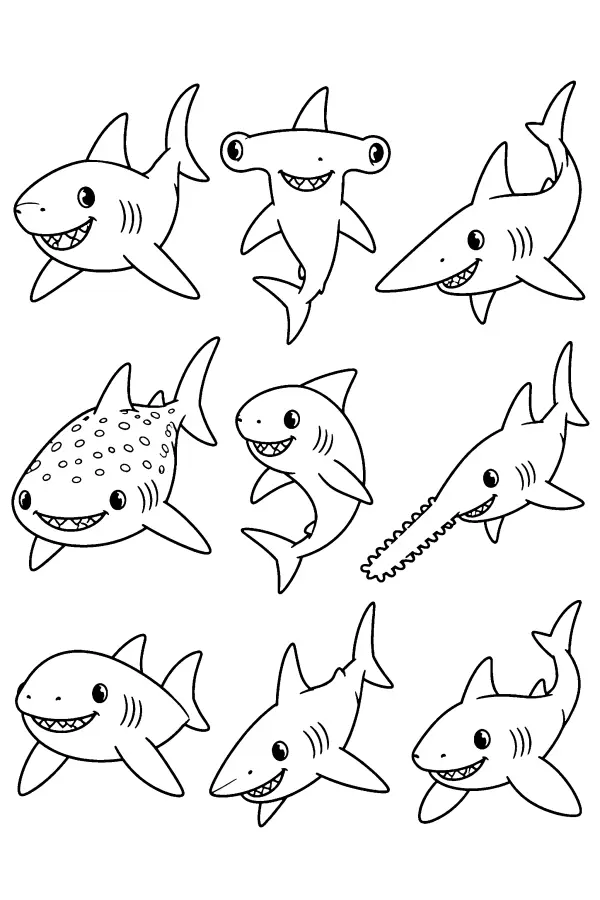 Shark Variety Grid