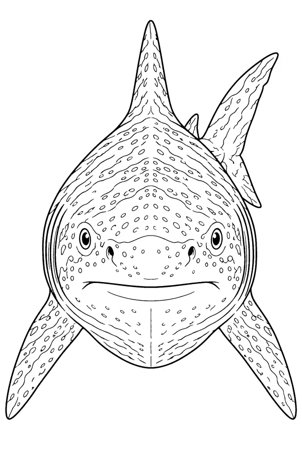 Spotted Shark Portrait