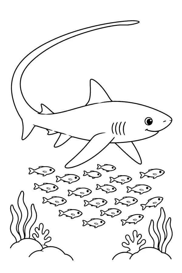 Thresher Shark Glide