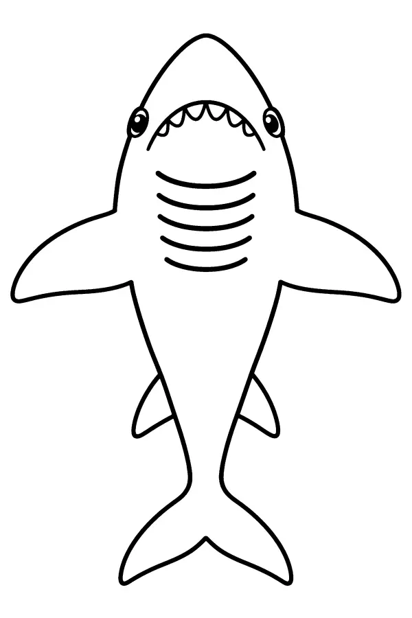 Upward Shark