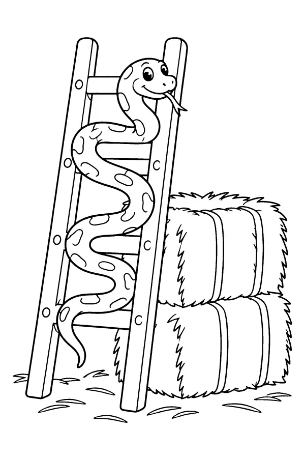 Ladder Snake Hay