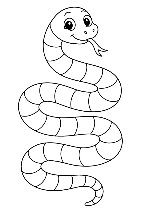 Patterned Snake