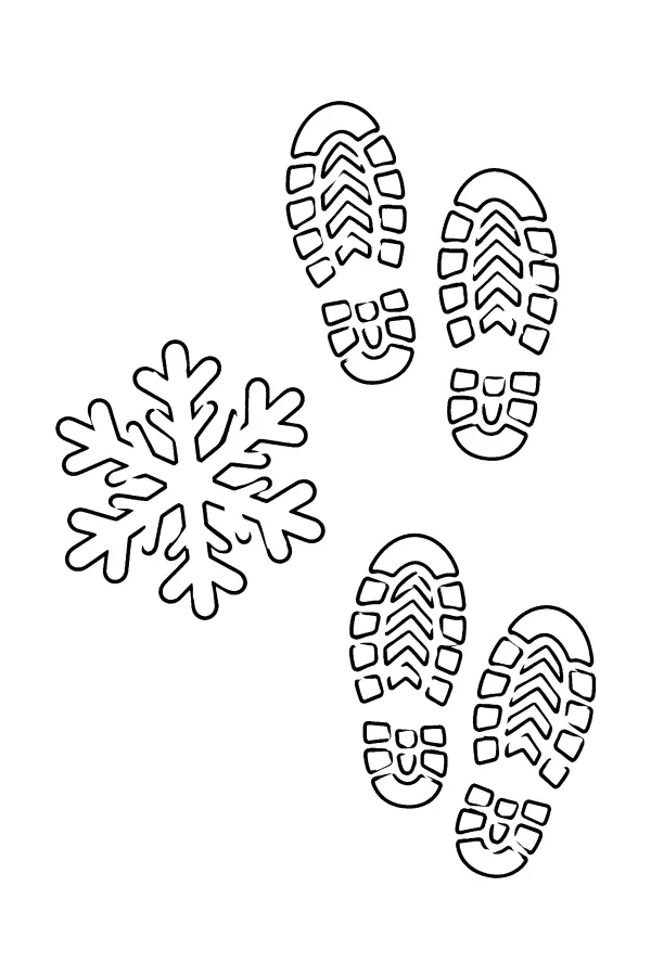 Snowflake Footprints