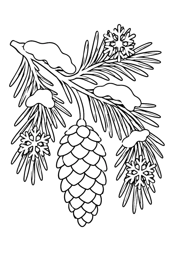 Snowy Pine Cone