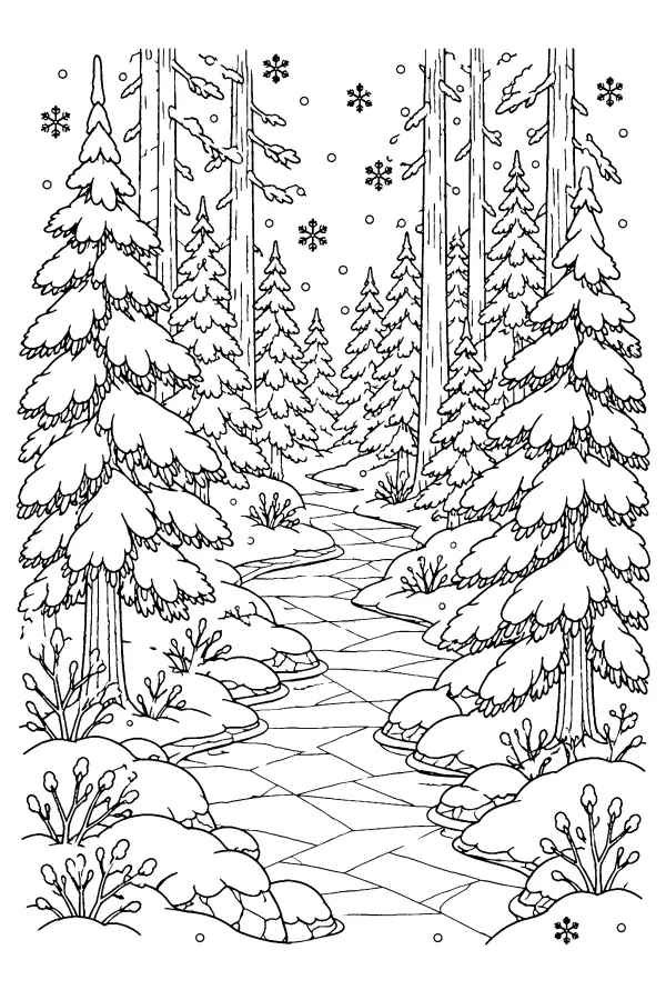 Snowy Pine Stream