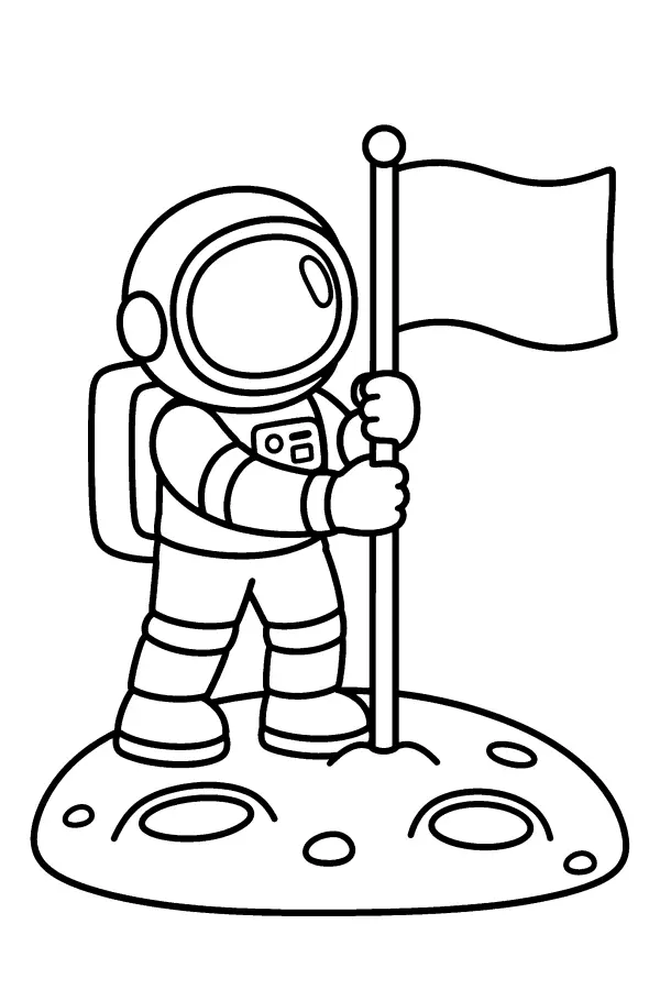 Moon Flag Mission
