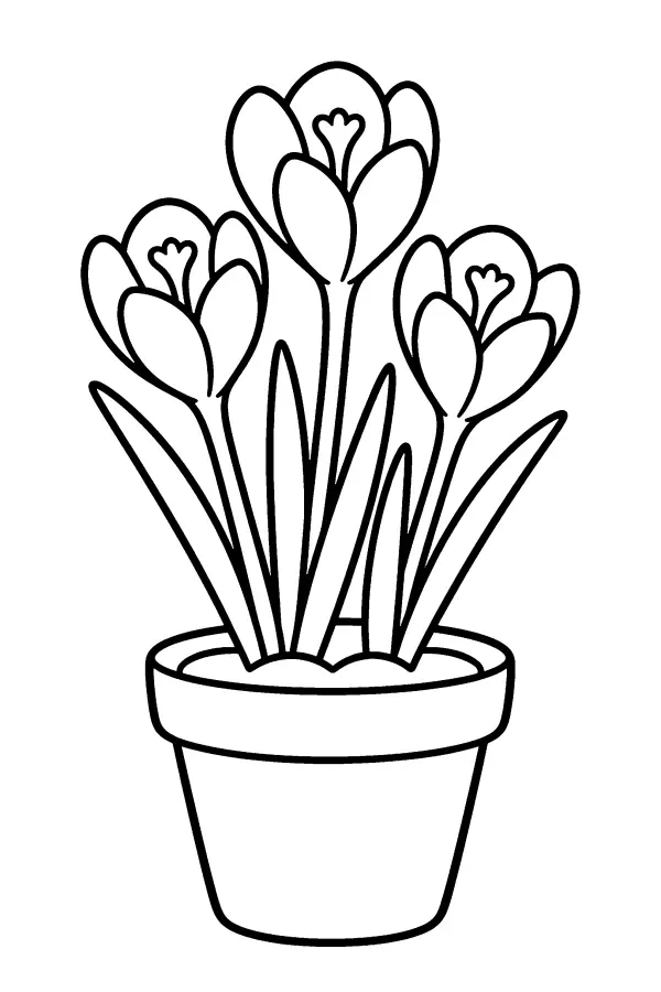 Dessin à colorier de crocus de printemps en pot