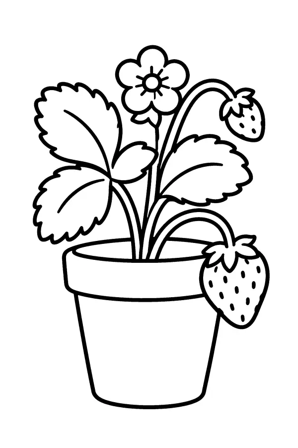 Potted Strawberry Plant
