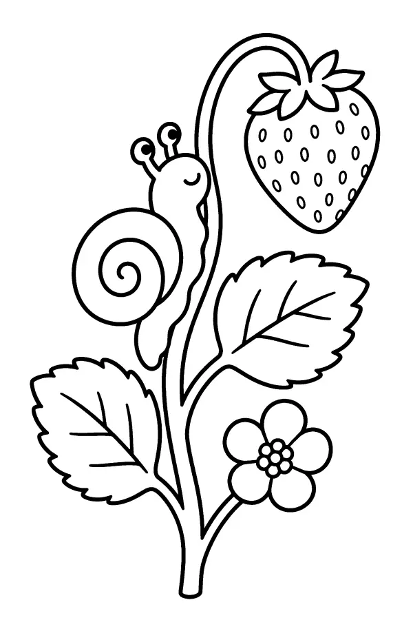 Snail and Strawberry