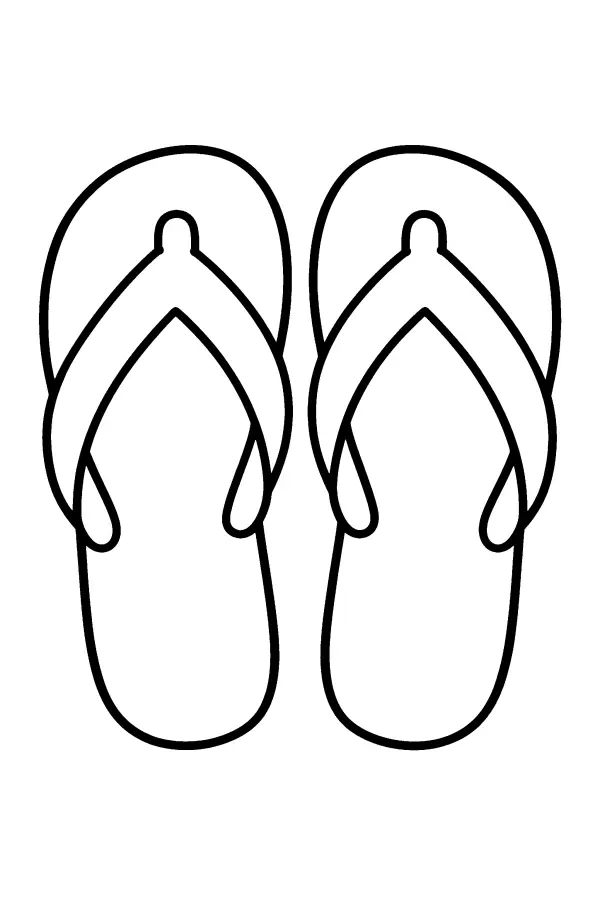 Pair Of Flip-Flops