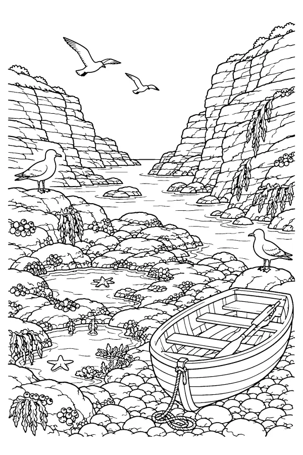 Rocky Cove View