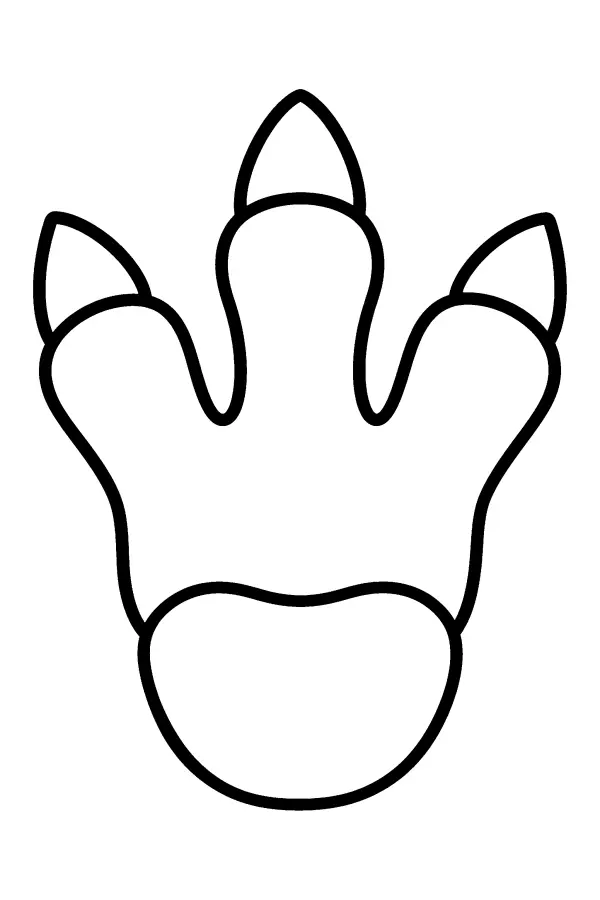 Dinosaur Footprint