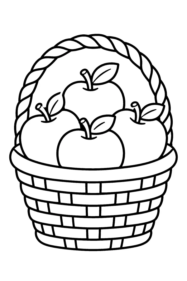 Apple Basket