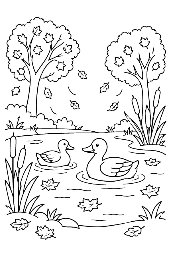 Autumn Duck Pond