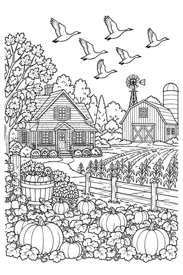 Autumn Farm Homestead