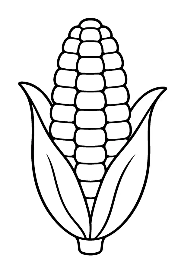 Corn With Husks