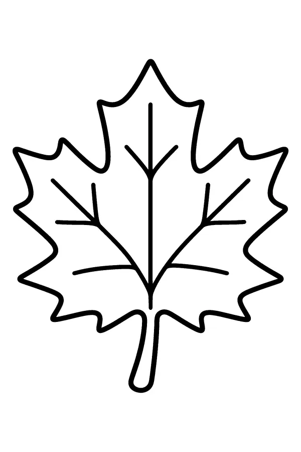 Maple Leaf