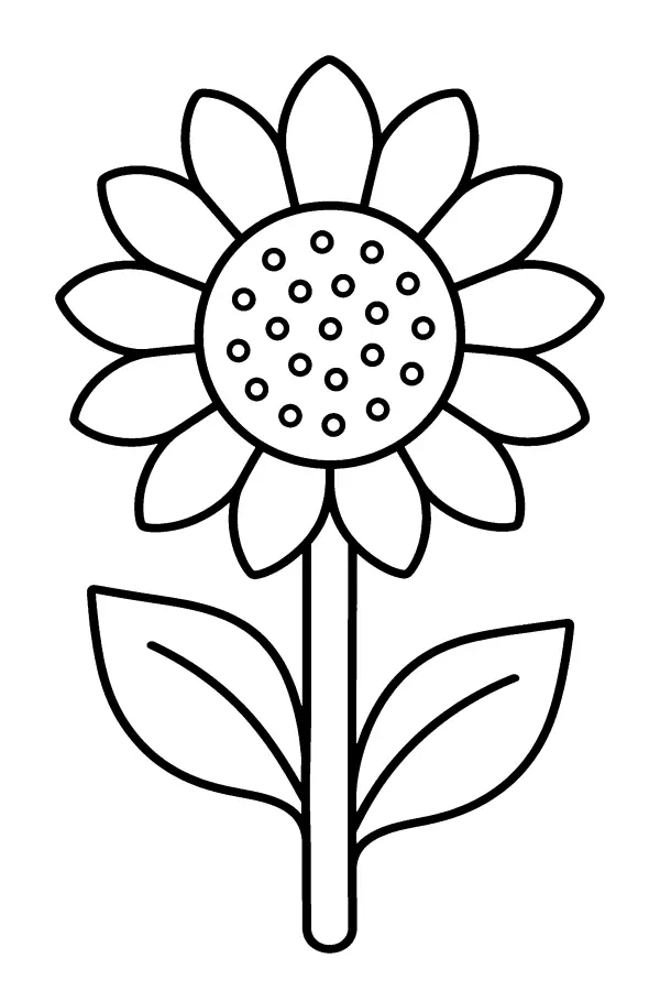 Sunflower Bloom