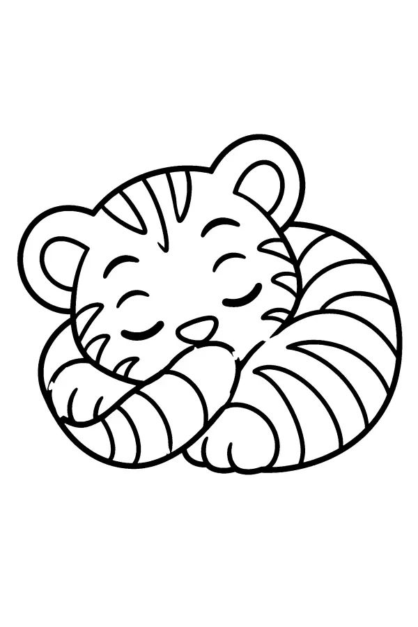 Curled Tiger Cub