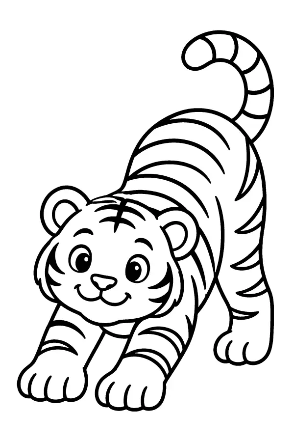 Stretching Tiger