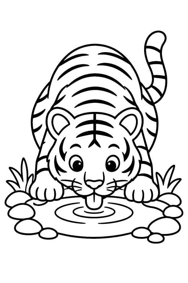 Tiger At The Pool