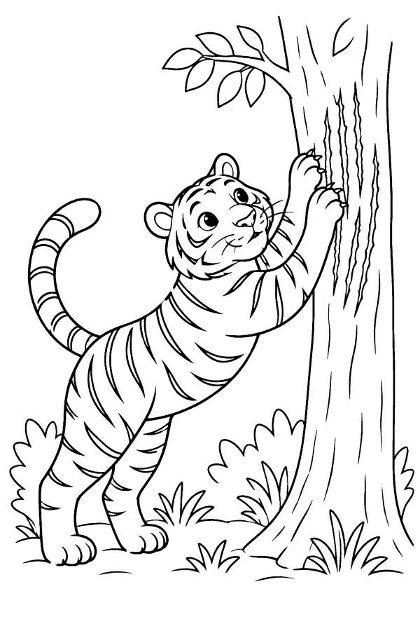 Tiger Stretching Up Tree