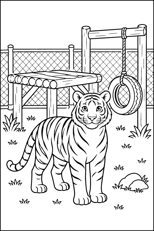 Tiger Yard Scene