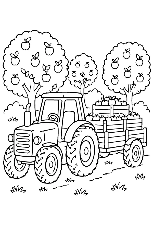 Coloriage d’un tracteur chargé de pommes au verger