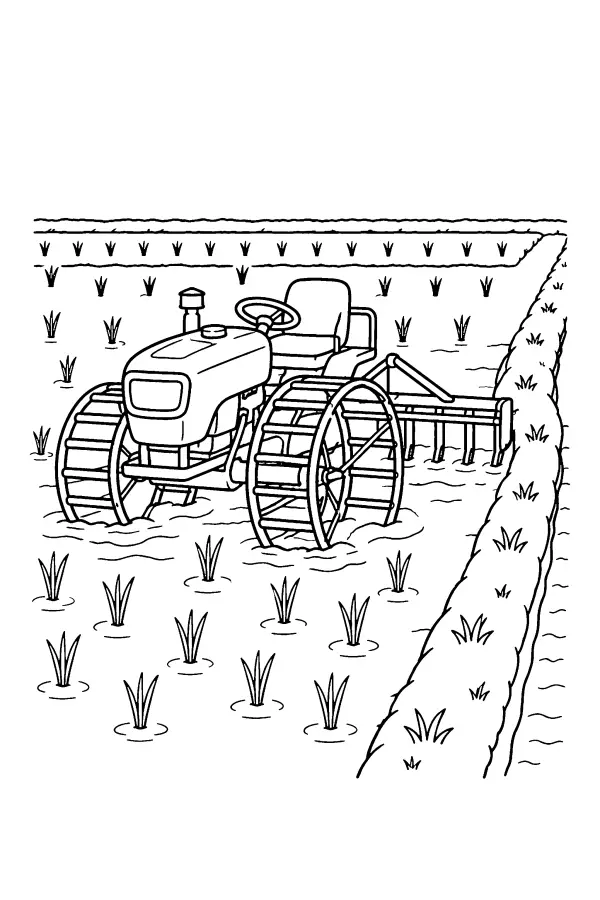 Coloriage d’un tracteur dans une rizière