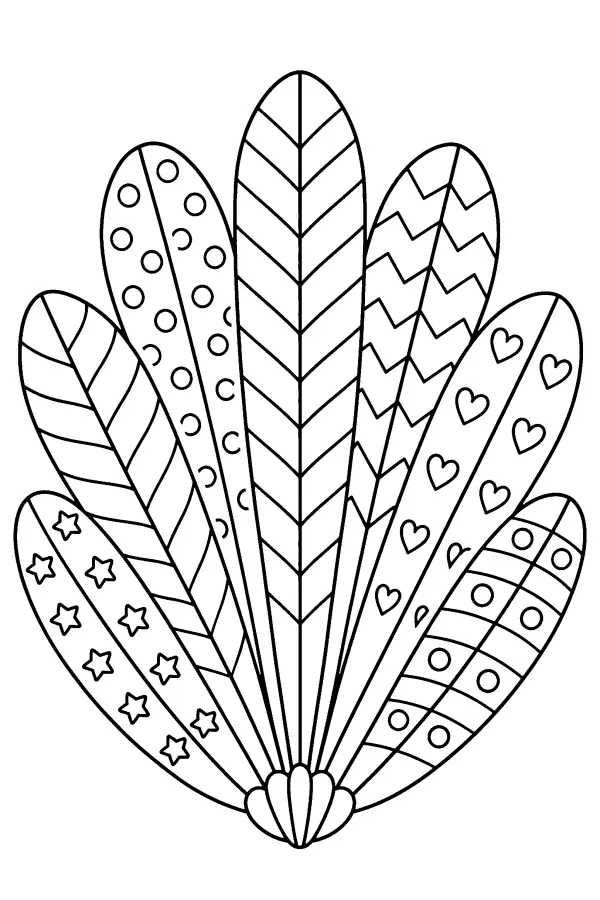 Patterned Fan Feathers