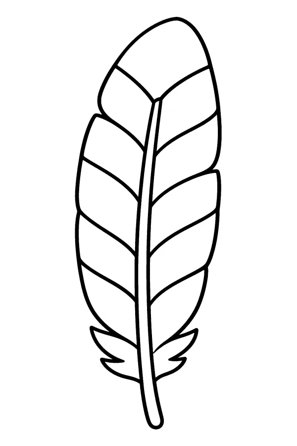 Patterned Feather