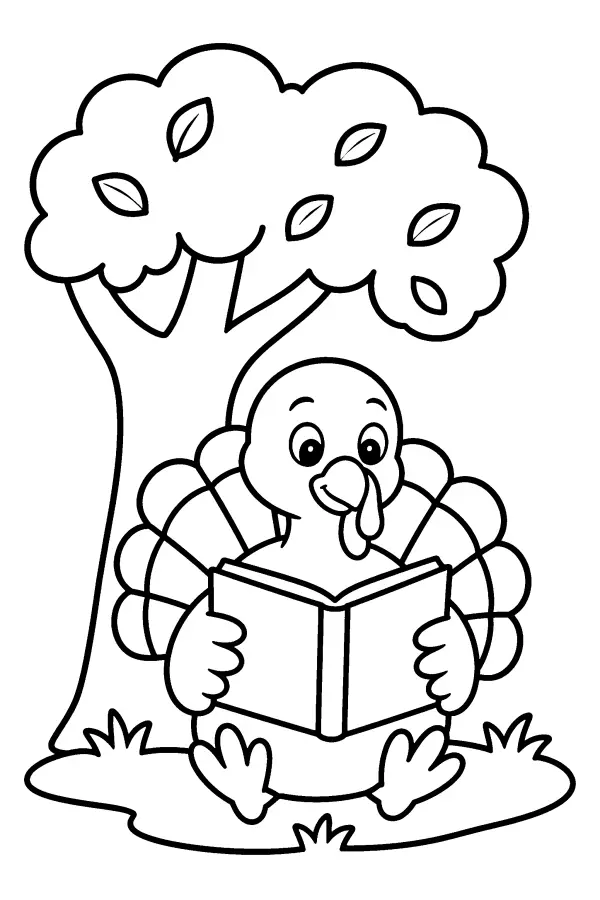 Reading Turkey