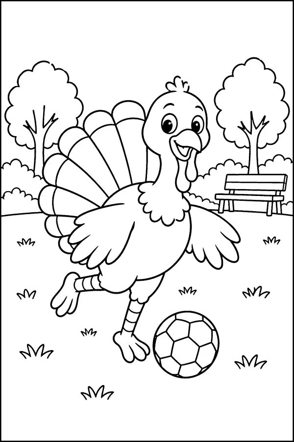 Soccer Turkey Park