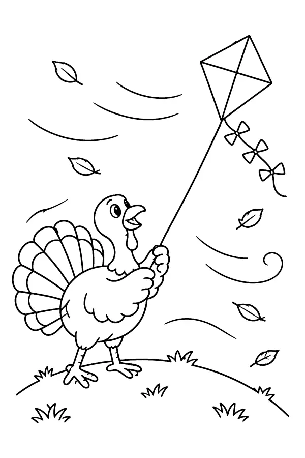 Turkey and Kite