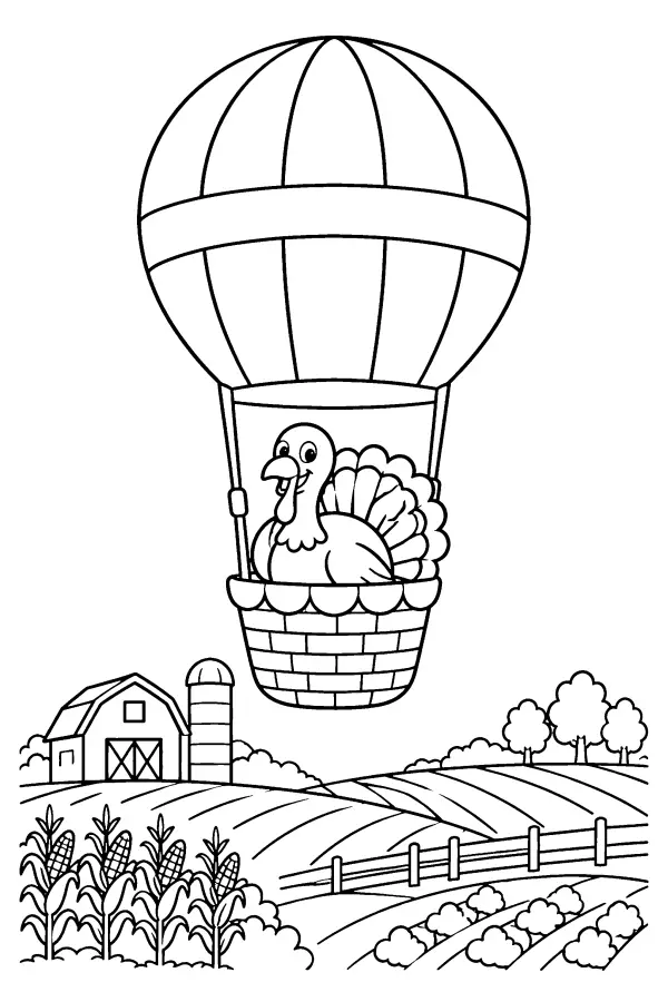 Turkey Balloon Flight