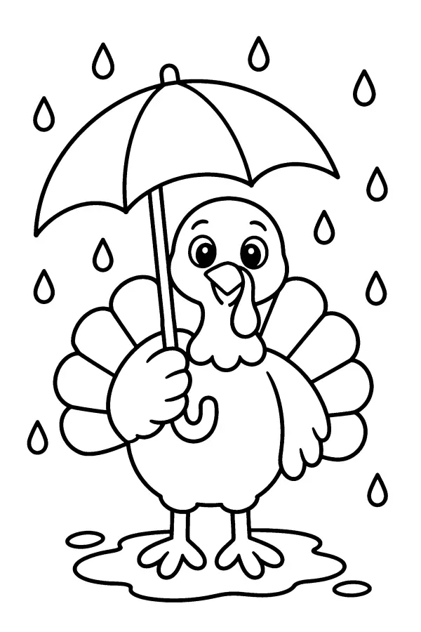 Turkey in the Rain