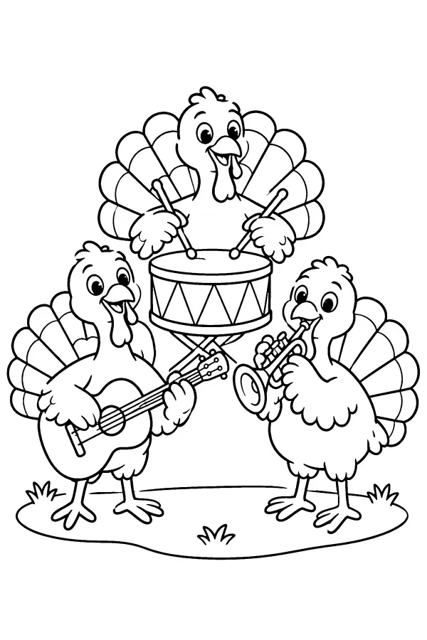 Turkey Trio Band