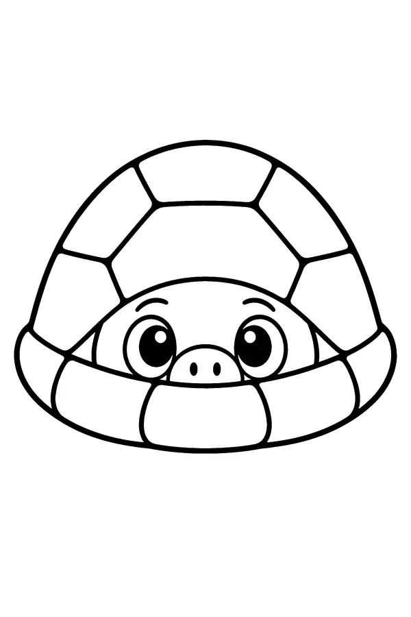 Hidden Turtle