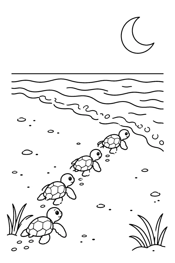 Moonlit Hatchling Crossing