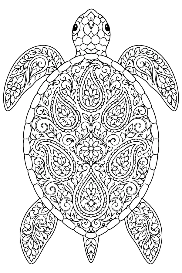 Paisley Turtle Shell