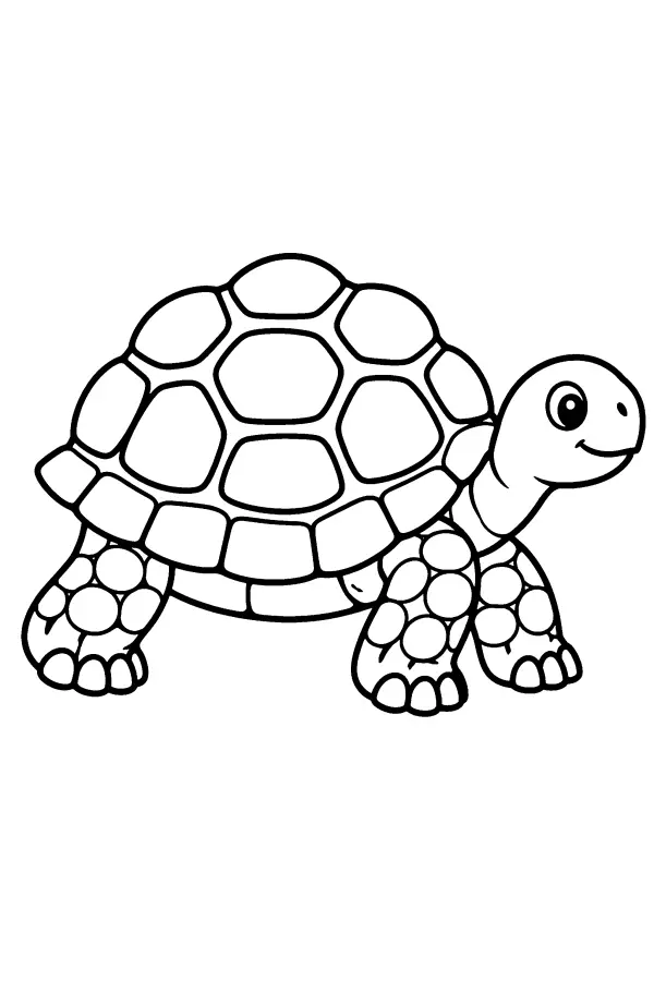Side View Tortoise