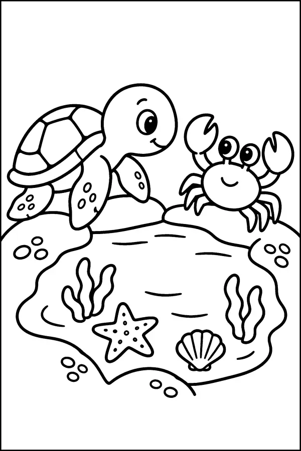 Turtle And Crab