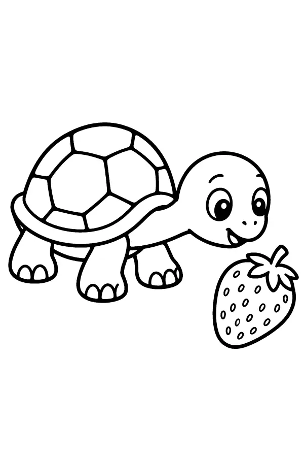 Turtle and Strawberry