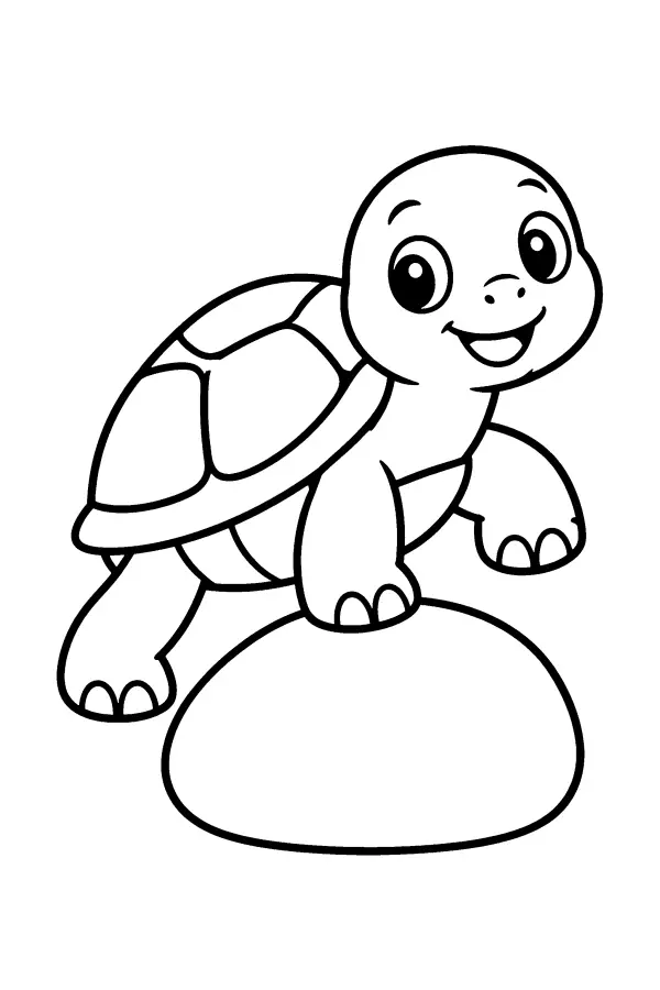 Turtle On Stone