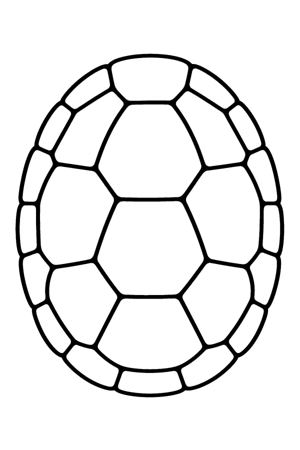 Turtle Shell Pattern