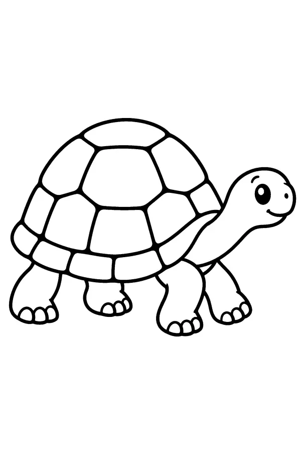 Walking Tortoise